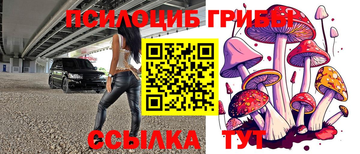 Галлюциногенные грибы Psilocybe Пермь